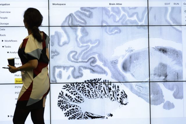 Μεγάλη ανακάλυψη για την αναγέννηση των νεύρων από Eλληνίδα σε γερμανικό πανεπιστήμιο