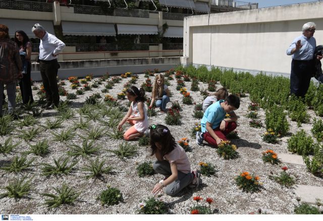 Αθήνα: Πράσινες στέγες σε 17 σχολεία