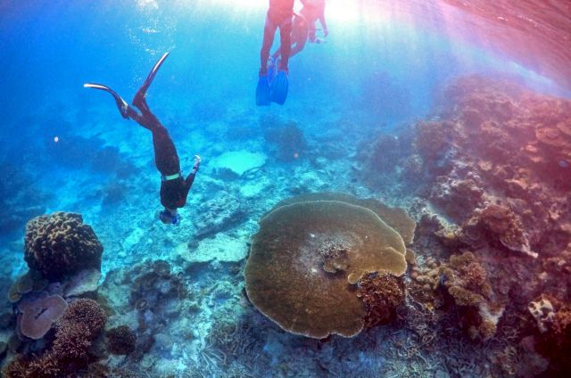 Το 93% του Μεγάλου Κοραλλιογενούς Υφάλου έχει προσβληθεί από λεύκανση των κοραλλιών του