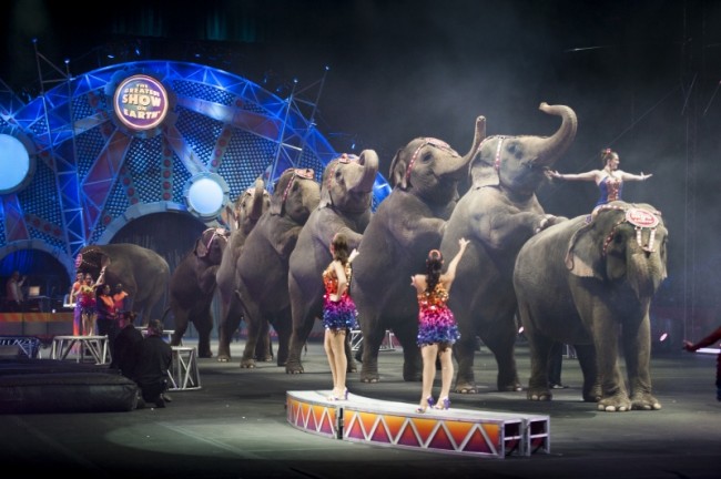 Τελευταία παράσταση για τους ελέφαντες σε ένα από τα μεγαλύτερα τσίρκα των ΗΠΑ