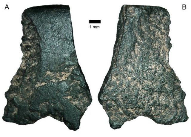 Ανακαλύφθηκε στην Αυστραλία ο αρχαιότερος πέλεκυς