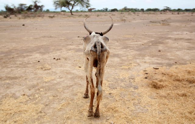 Στήριξη $128 εκατ. στην Αιθιοπία λόγω της μεγάλης ξηρασίας