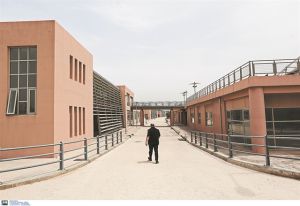 Η πατρίδα του λίαν σοβαρού γιασεμιού