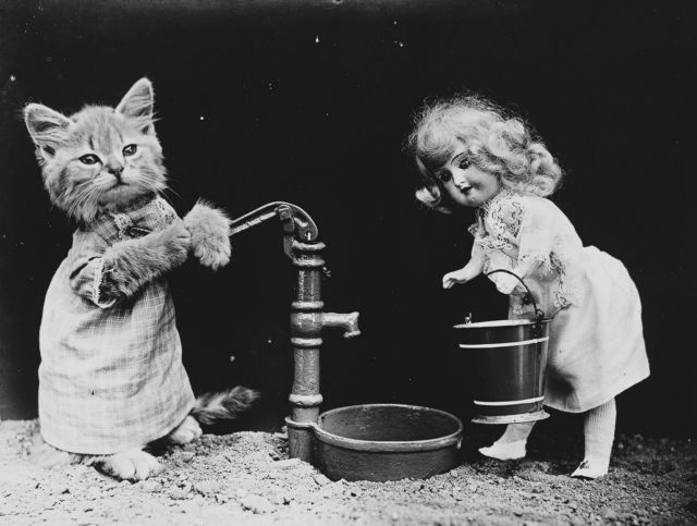 Ο άθλος του να ντύνεις και να φωτογραφίζεις γατάκια πριν από 100 χρόνια