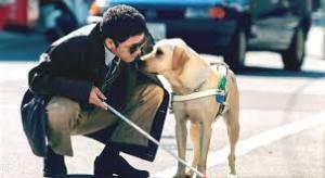 Παγκόσμια Ημέρα Λευκού Μπαστουνιού: Να δούμε κάθε εμπόδιο με διαφορετική ματιά