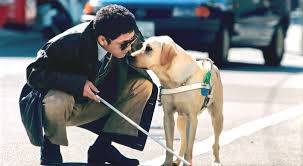 Παγκόσμια Ημέρα Λευκού Μπαστουνιού: Να δούμε κάθε εμπόδιο με διαφορετική ματιά