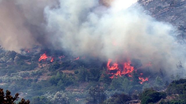 Πυρκαγιά στη Λακωνία – Στη φυλακή 37χρονος για 12 φωτιές στον Ασπρόπυργο