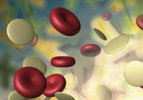 Χρόνια μυελογενής λευχαιμία: Επιβίωση και χωρίς καθημερινή αγωγή