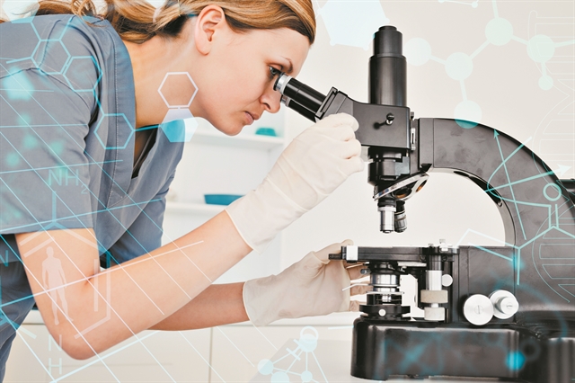 «Διαβάζουν» τον ανθρώπινο εγκέφαλο μελετώντας μύγες