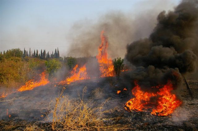 Υπό έλεγχο η πυρκαγιά στις Βασιλιές Ηρακλείου