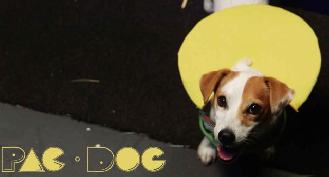 Pac-Man + σκύλος = Pac-Dog!