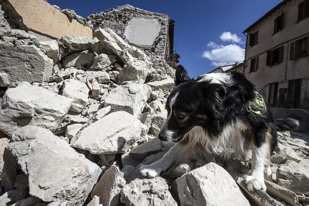 Ιταλία: Στους 278 οι νεκροί από τον φονικό σεισμό, 388 οι τραυματίες