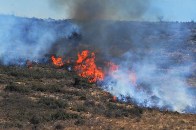 Πυρκαγιά σε δασική έκταση στη Νεμέα