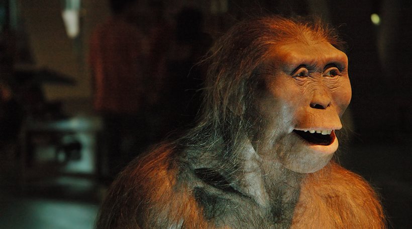 Η Λούσι, ο αυστραλοπίθηκος, σκοτώθηκε πέφτοντας από ένα δέντρο πριν από 3 εκατομμύρια χρόνια