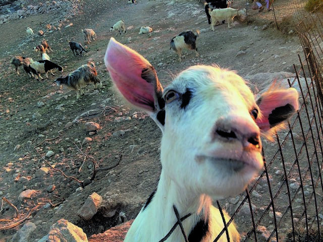 Ποιος πληρώνει τους φόρους;