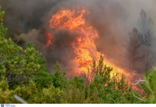 Πυρκαγιές σε Τζιά και Σέριφο