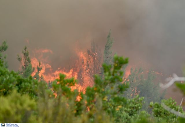 Ηράκλειο: Πυρκαγιά σε περιοχή της Ρογδιάς