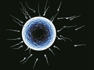 «Παγώνουν» το βιολογικό ρολόι τους