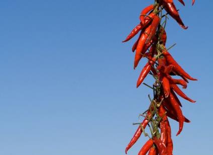 47χρονος στις ΗΠΑ έπαθε ρήξη οισοφάγου από μια πολύ καυτερή πιπεριά