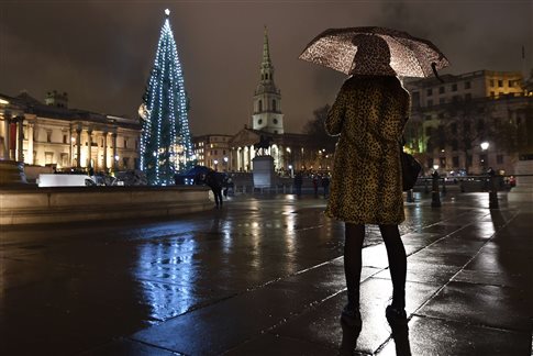 Ποιοι χαίρονται με το Brexit; Οι έμποροι χριστουγεννιάτικων δέντρων
