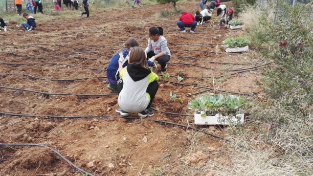 Αρτέμιδα: Όταν τα παιδιά μαθαίνουν να φυτεύουν
