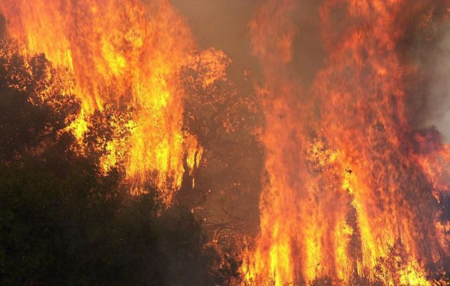 Από εμπρησμό σχεδόν οι μισές αγροτοδασικές πυρκαγιές το 2016