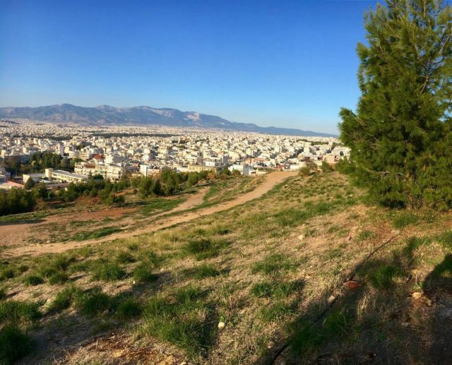 Γαλάτσι: Πάρε ένα δεντράκι κι έλα…Λεβεντάκη