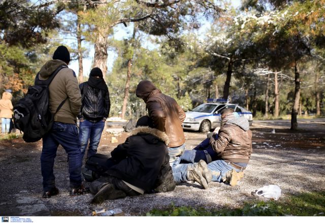 Θεσσαλονίκη: 70 μετανάστες έφθασαν στο… δάσος του Σέιχ Σου