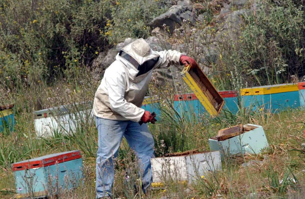 Μεγάλες ζημιές λόγω καιρού υπέστησαν οι μελισσοκόμοι του Εβρου