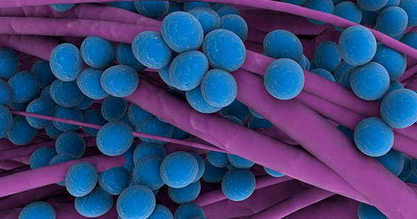 ΠΟΥ: Καμπανάκι για 12 είδη ανθεκτικών θανατηφόρων βακτηρίων