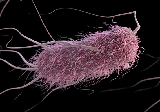 ΠΟΥ: Ποια είναι τα 12 πιο επικίνδυνα ανθεκτικά μικρόβια