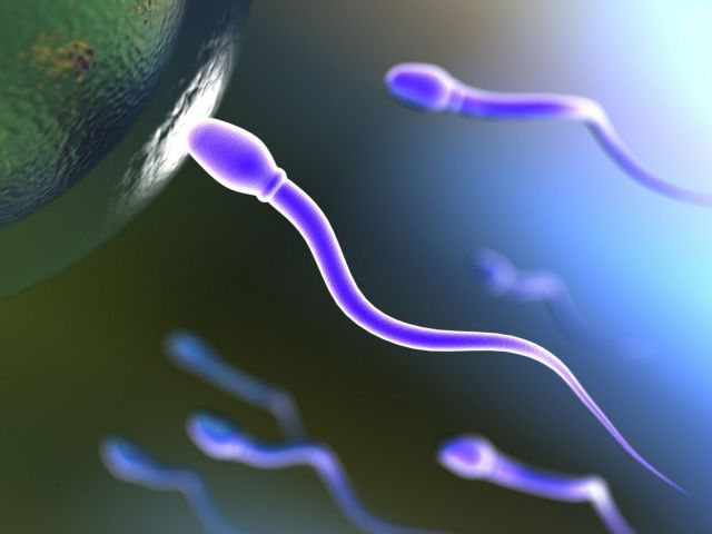 Τεστ σπέρματος όπως τεστ εγκυμοσύνης με εφαρμογή στο κινητό