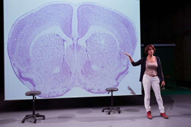 Τα δισκία κλαδριβίνης μειώνουν την εξέλιξη της αναπηρίας στη Σκλήρυνση κατά Πλάκας