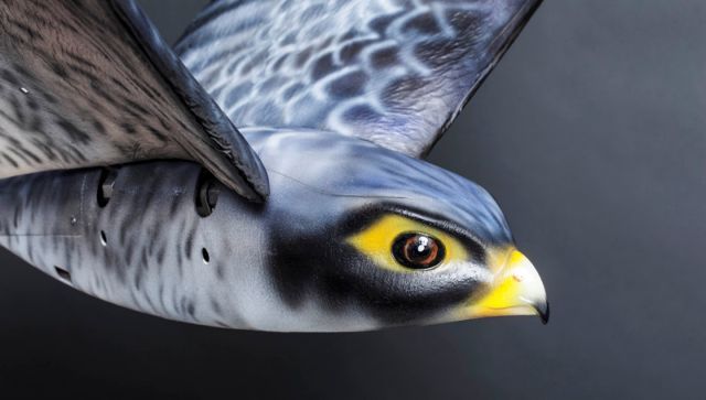 Ρομποτικό πουλί θα διώχνει τα πραγματικά πουλιά μακριά από τα αεροπλάνα