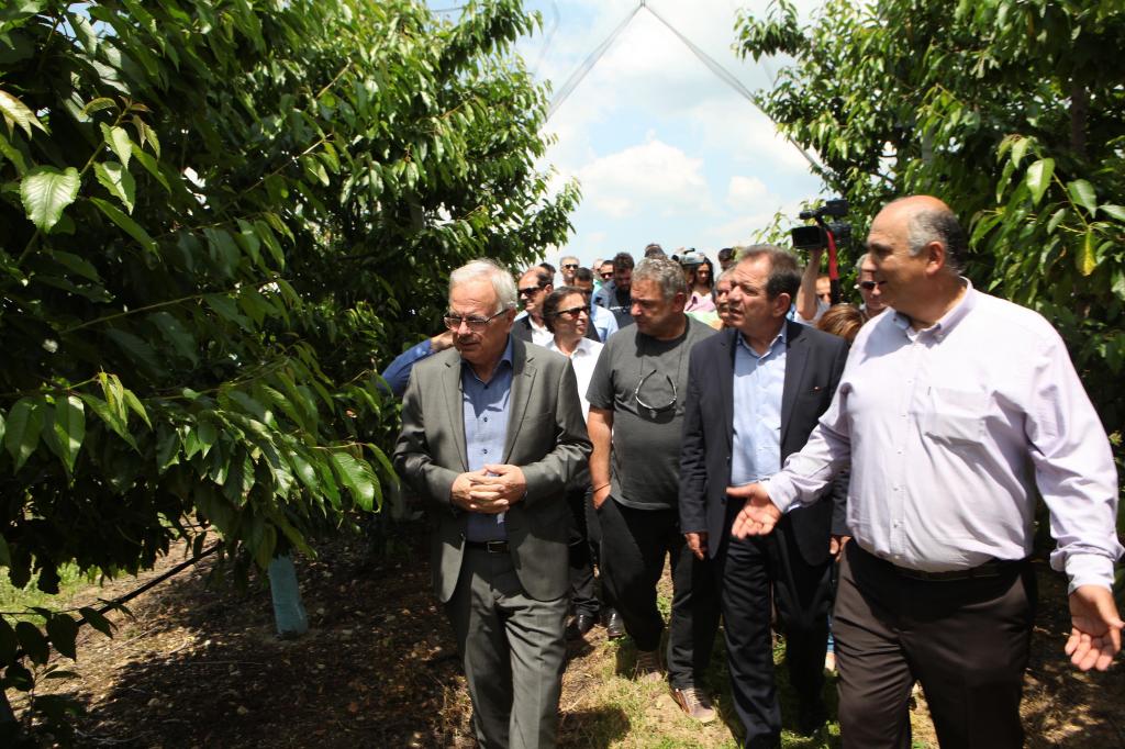 Κοζάνη: Παραχώρηση 1.000 στρεμμάτων για την καλλιέργεια αρωματικών φυτών