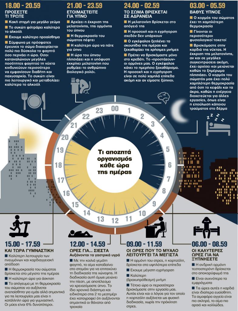 ΟΙ ΑΝΑΓΚΕΣ ΤΟΥ ΟΡΓΑΝΙΣΜΟΥ ΣΕ ΕΝΑ 24ΩΡΟ