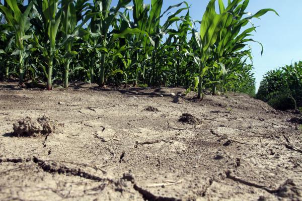 Ιταλία: Η ξηρασία έχει κοστίσει ένα δισ. ευρώ στους αγρότες
