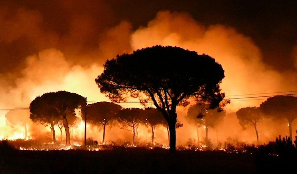 Μεγάλη δασική πυρκαγιά στη νότια Ισπανία