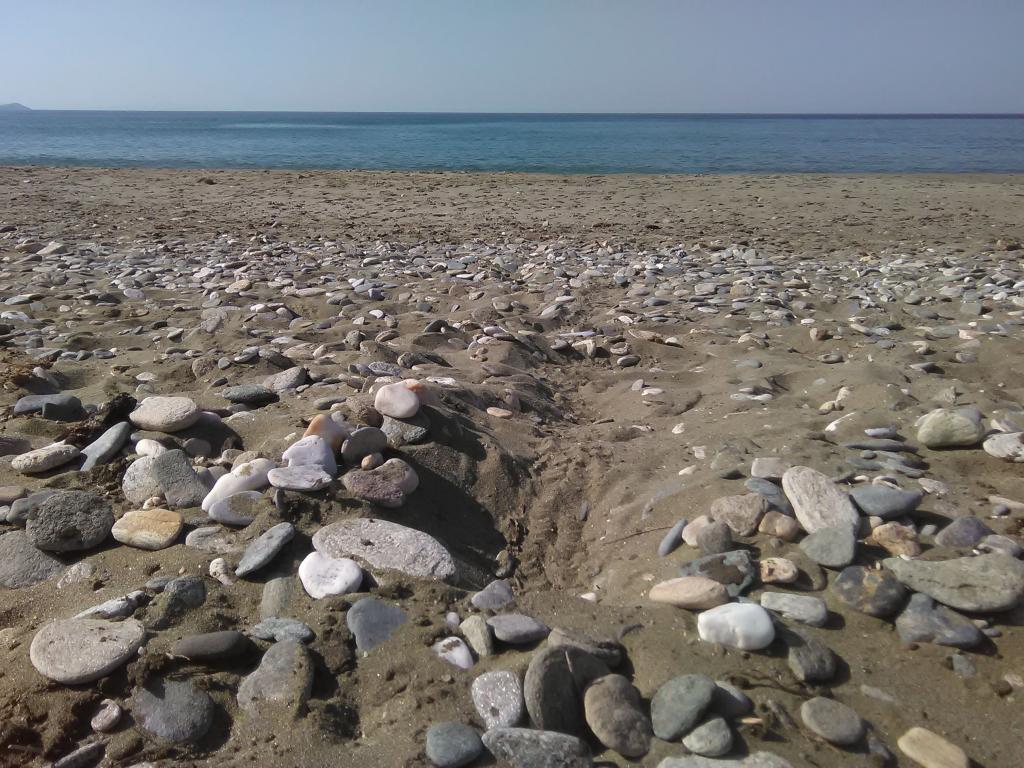 Τήνος: Παράνομες χωματουργικές εργασίες στην παραλία του Αγίου Φωκά, καταγγέλλουν κάτοικοι