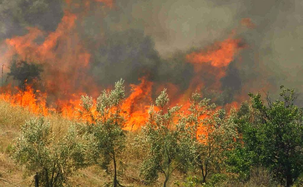Πυρκαγιές σε Ζάκυνθο και Ηλεία