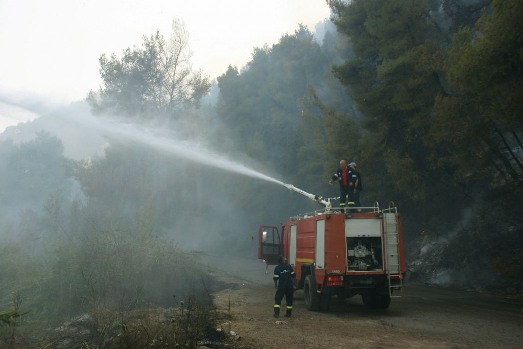 Φωτιά σε αγροτοδασική έκταση στην Ηλεία