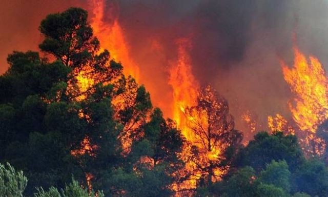 Καίγεται (πάλι) δασική έκταση στις Βολίμες Ζακύνθου