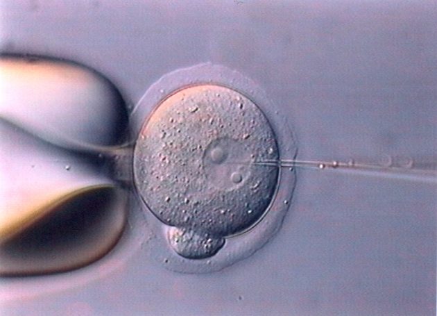 ΗΠΑ: Τροποποίησαν ελαττωματικά γονίδια ανθρώπινων εμβρύων