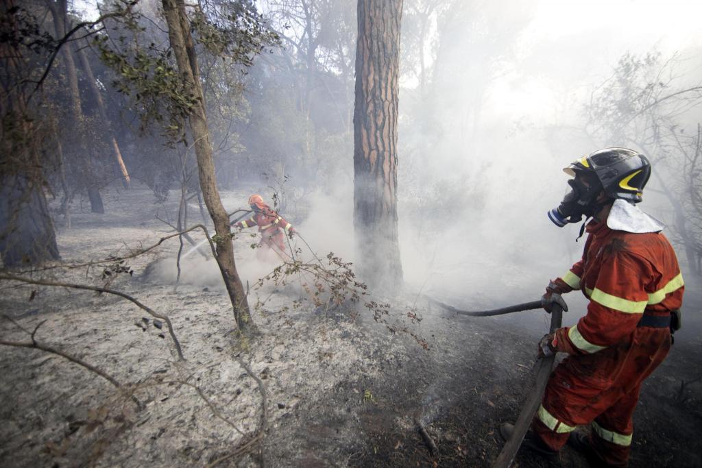 Ιταλία: Εθελοντές πυροσβέστες έβαζαν φωτιές για 10 ευρώ την ώρα