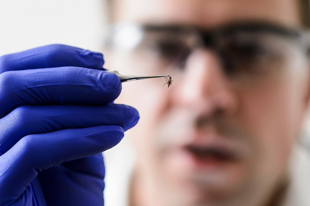 Η ολική επαναφορά του ιού στην Ελλάδα