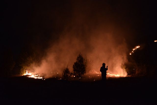 Φωτιά ξανά δίπλα στο Αλσος Βεΐκου στο Γαλάτσι