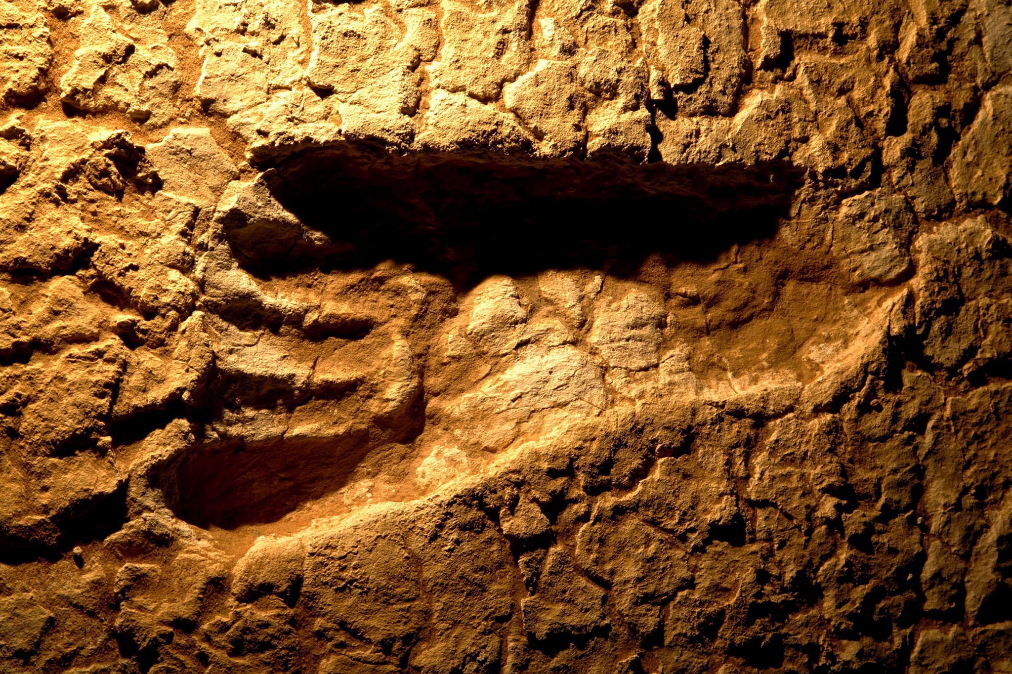 Следы древней жизни. Окаменелости озера Мунго. Следы древних людей. Отпечаток ноги древнего человека. Следы первобытного человека.