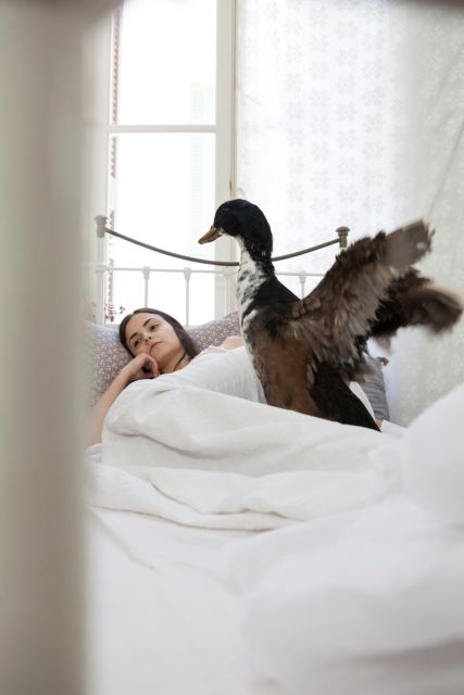 Πειραματισμοί στη σκιά των κλασικών