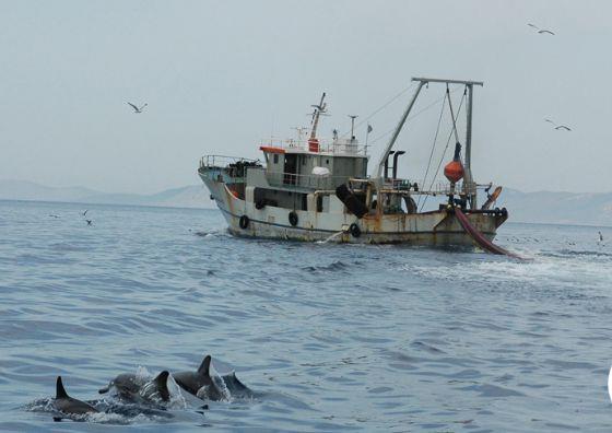 Βόμβα βυθού για τις ελληνικές θάλασσες το παράνομο ψάρεμα