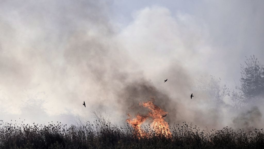 Τρίκαλα: Σε εξέλιξη οι προσπάθειες κατάσβεσης πυρκαγιάς στη Βασιλική